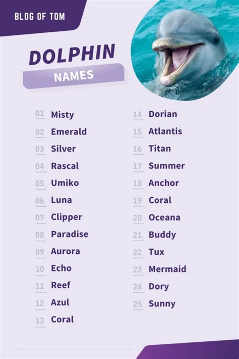 Dolphin mascot name